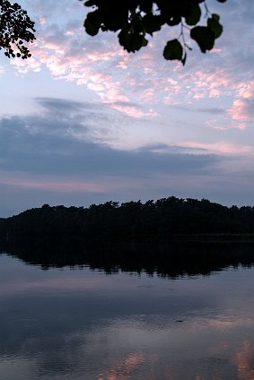 IMGP5234