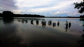 DSC 0648