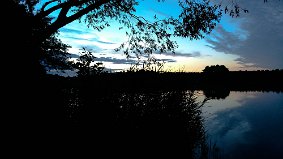 DSC 0653